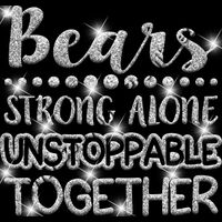 GLT87   SILVER GLITTER Thumbnail